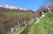 09 Sul sent. 578 al Rifugio Grande Faggio